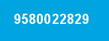 9580022829