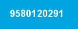 9580120291