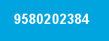 9580202384
