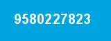 9580227823