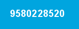 9580228520