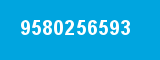 9580256593