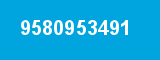 9580953491