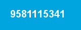 9581115341