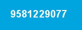 9581229077