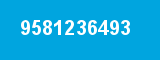 9581236493 9581236493