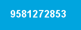 9581272853 9581272853