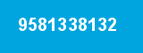 9581338132