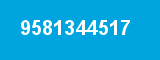 9581344517 9581344517