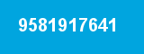 9581917641 9581917641