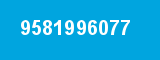 9581996077