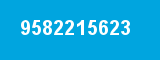 9582215623 9582215623
