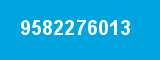 9582276013
