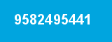9582495441