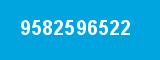 9582596522