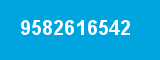 9582616542 9582616542