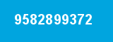9582899372