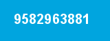 9582963881 9582963881
