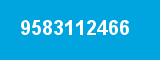 9583112466