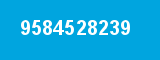 9584528239 9584528239