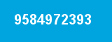9584972393