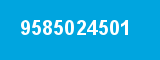 9585024501