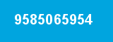 9585065954