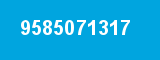9585071317 9585071317