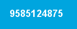 9585124875