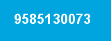 9585130073