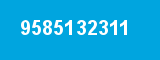 9585132311 9585132311