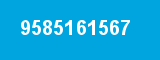 9585161567 9585161567