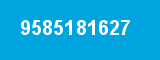 9585181627