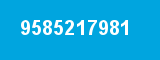 9585217981 9585217981