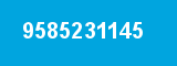 9585231145