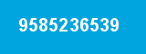 9585236539 9585236539