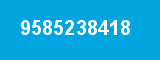 9585238418