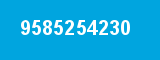 9585254230
