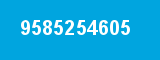 9585254605