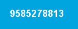 9585278813