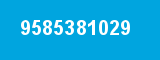9585381029