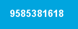 9585381618