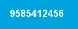 9585412456