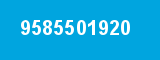 9585501920