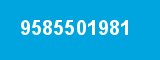 9585501981