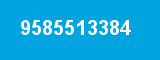 9585513384 9585513384