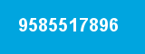 9585517896