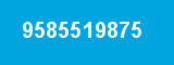 9585519875