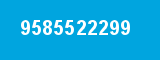9585522299