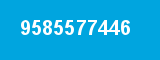 9585577446 9585577446